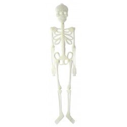 Esqueleto Plastico